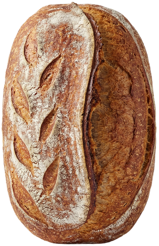 Sourdough Baking 101 1