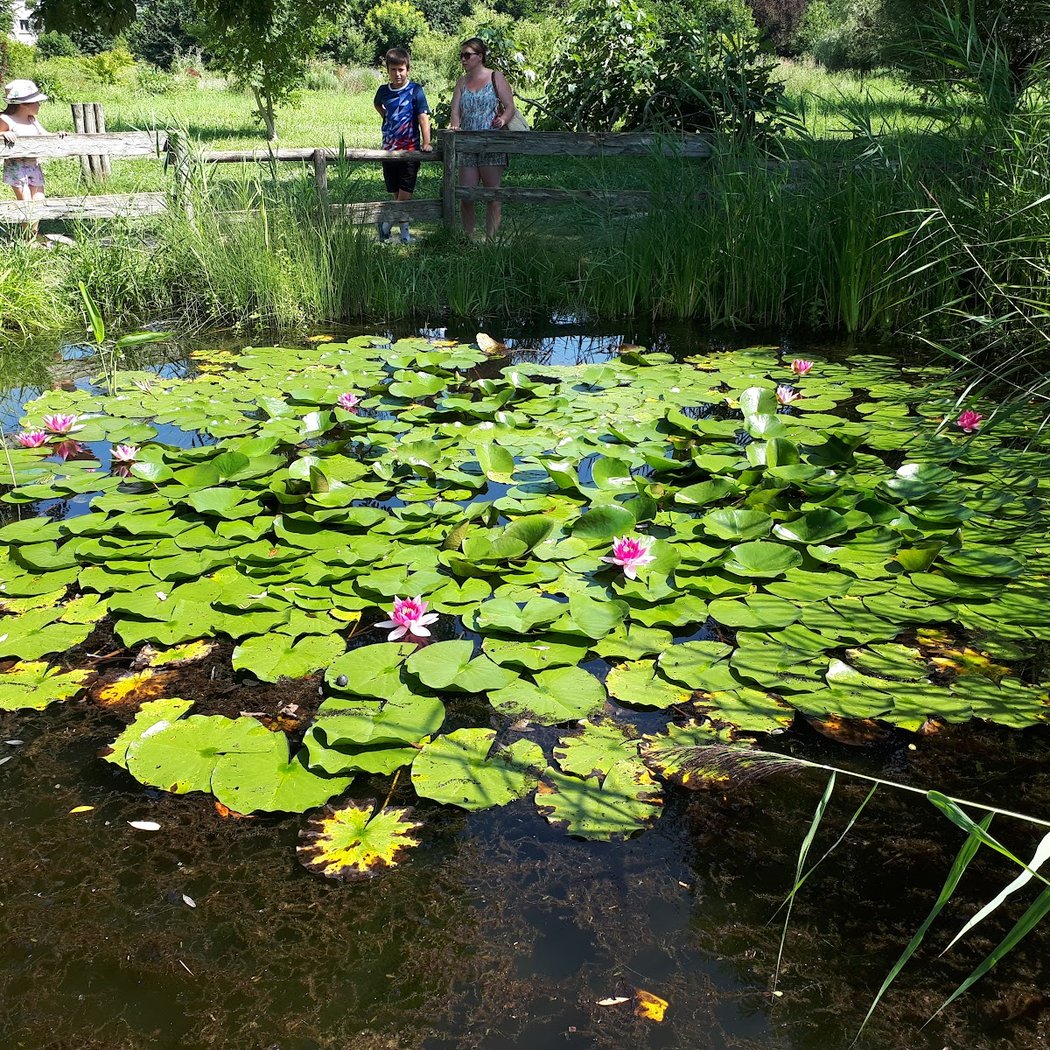 Jardin Vagabond 3