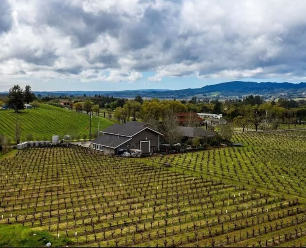 Father’s Day Cheers: A Complimentary Wine Tasting for Two 3