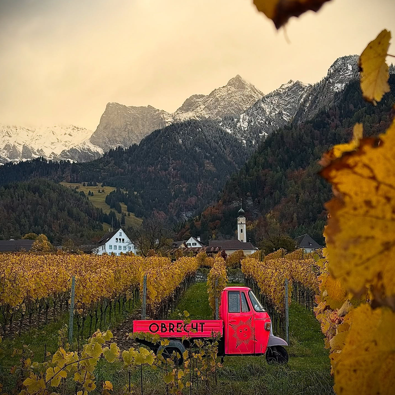 MASTERCLASS: INTRO TO SWISS WINES - TASTE THE ALPS 1