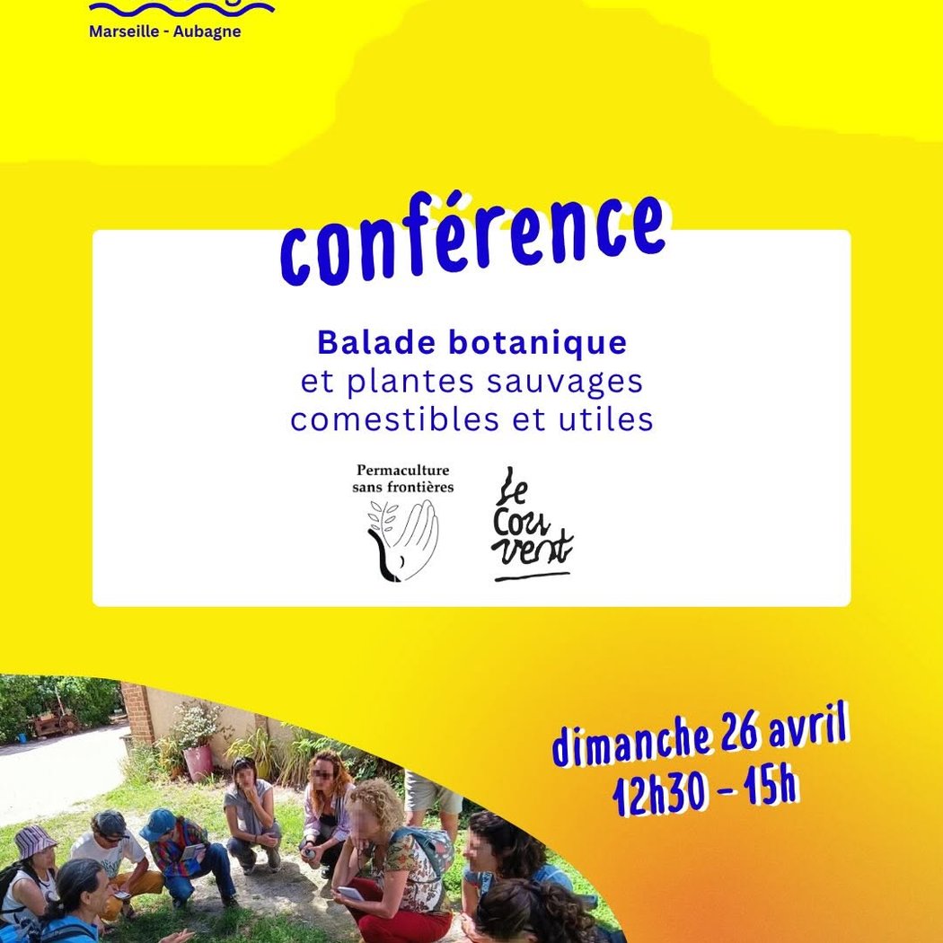 Balade botanique et plantes sauvages comestibles et utiles 1