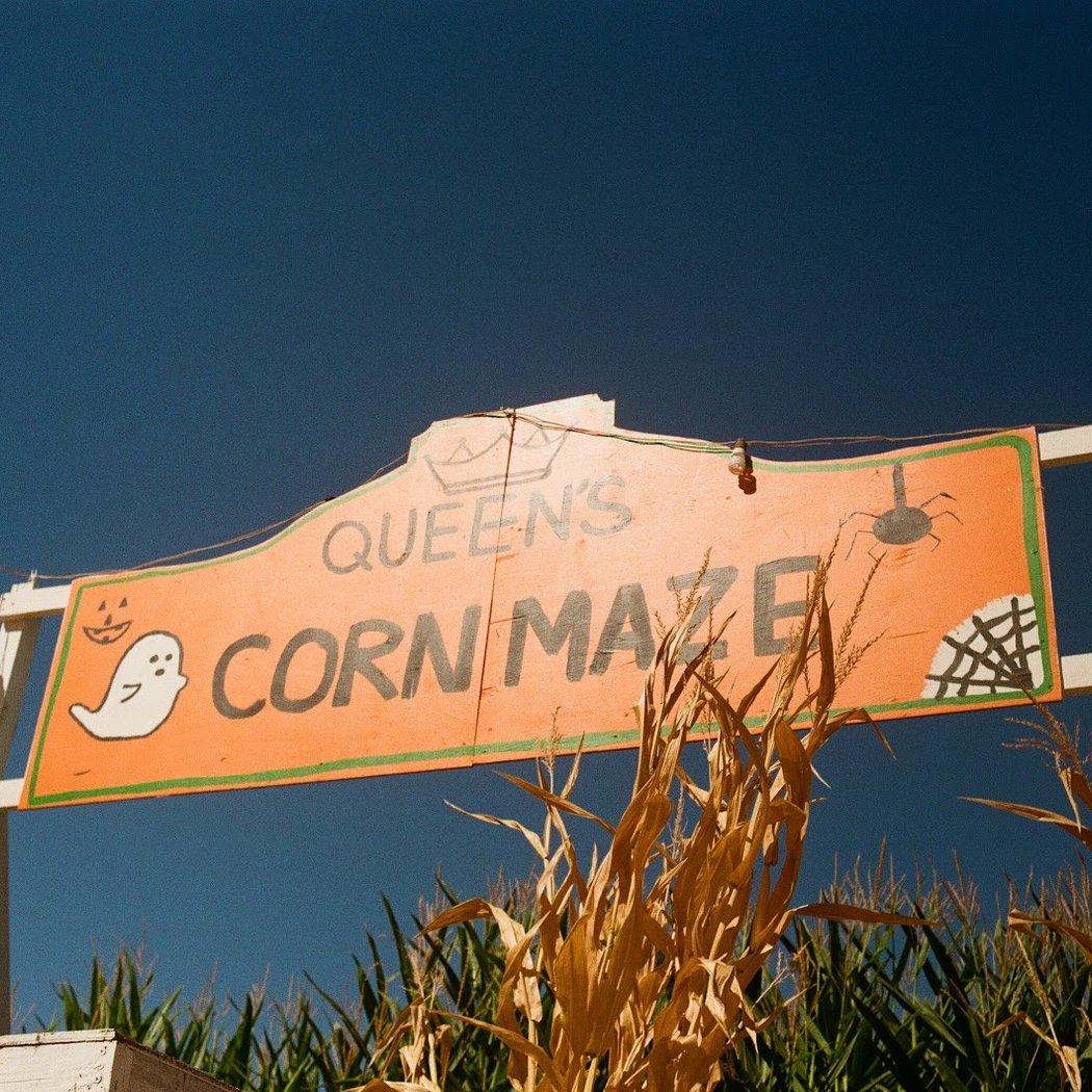 Queen’s Pumpkin Patch 2