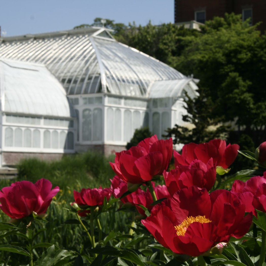 The Botanic Garden of Smith College 1