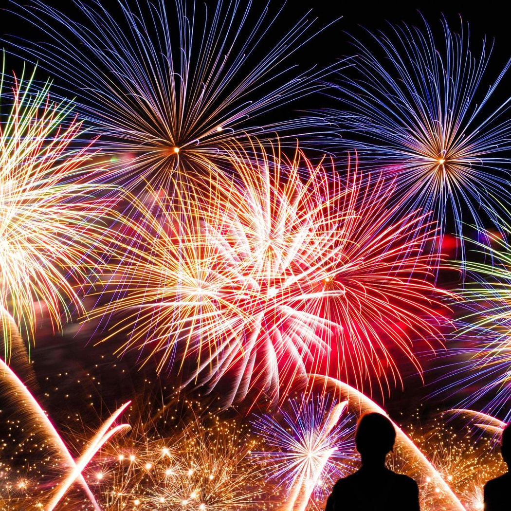 Shrek + Fireworks! 3