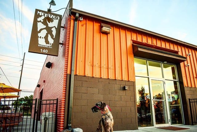 Metazoa Brewing Company 4