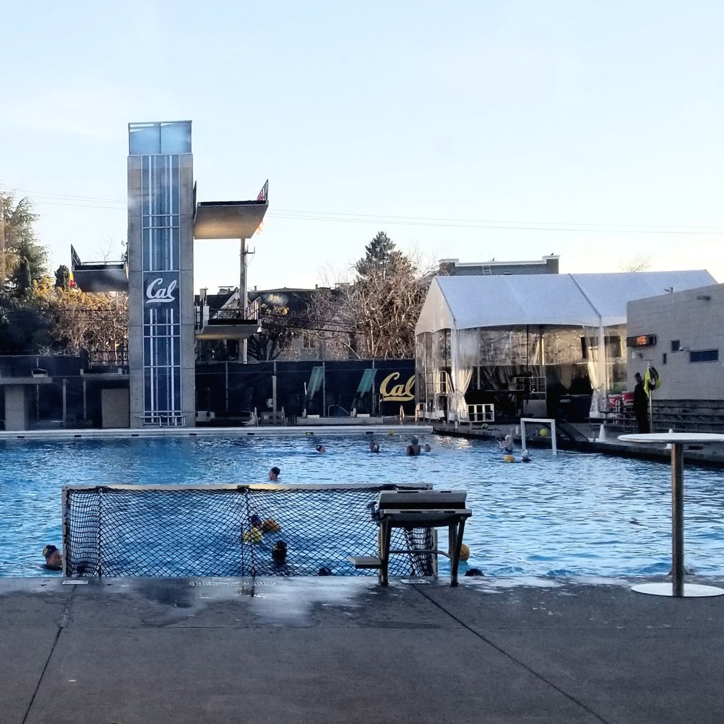 UC Berkeley Swimming Pool 2