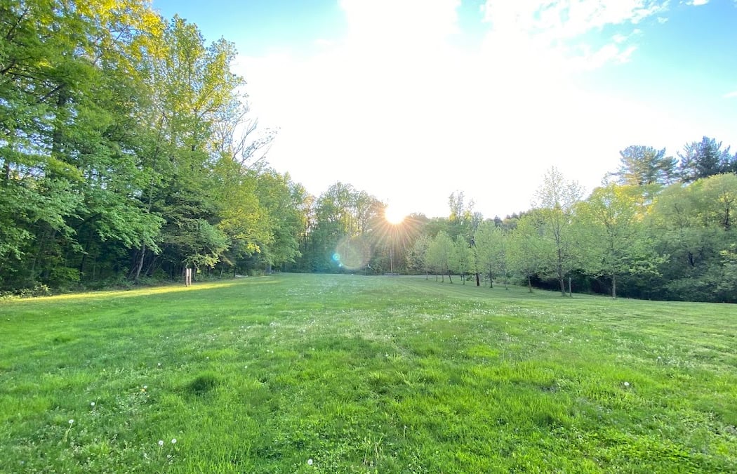 Step Into Summer: An Evening Nature Walk at Coventry Woods 2