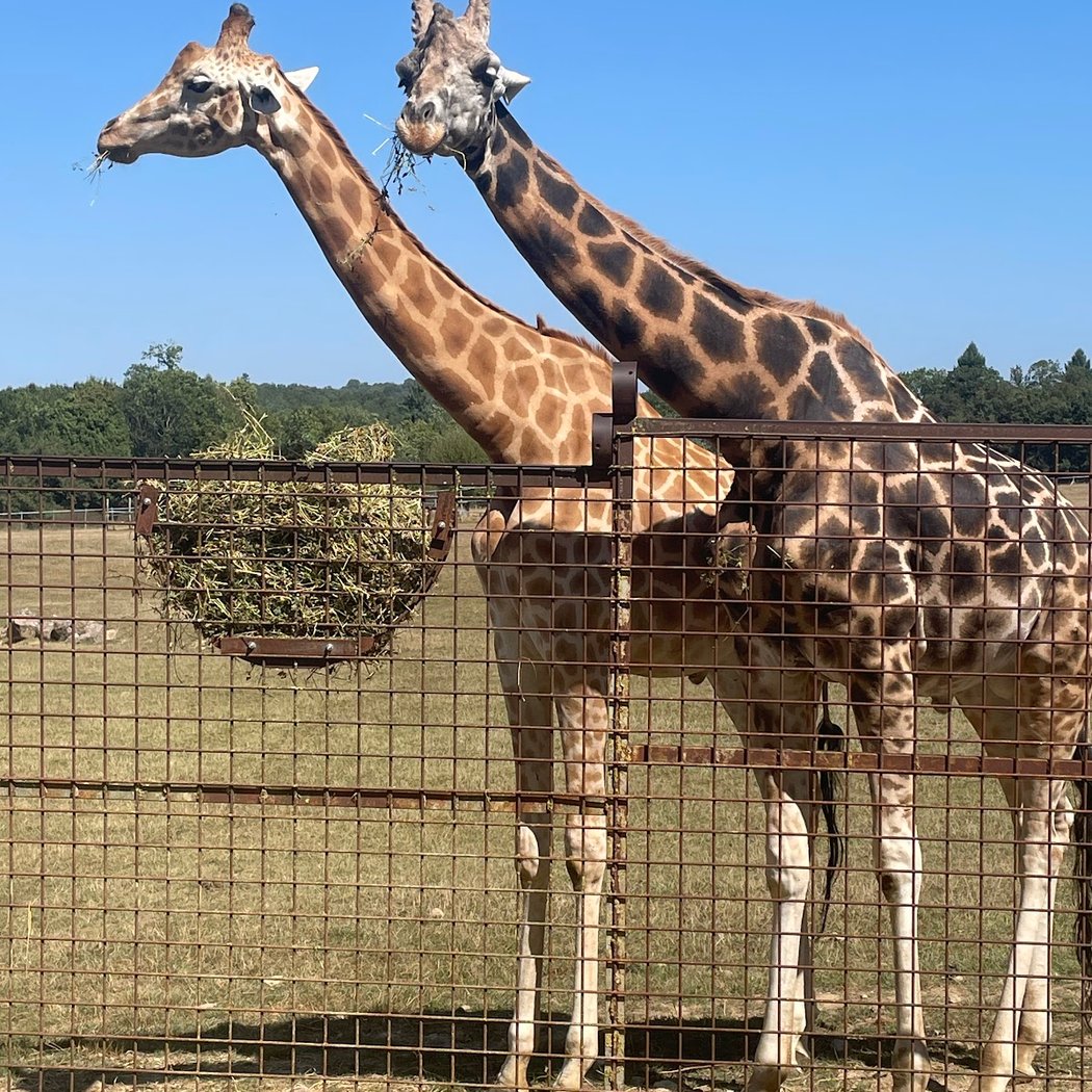 Park Zoo Reynou 3
