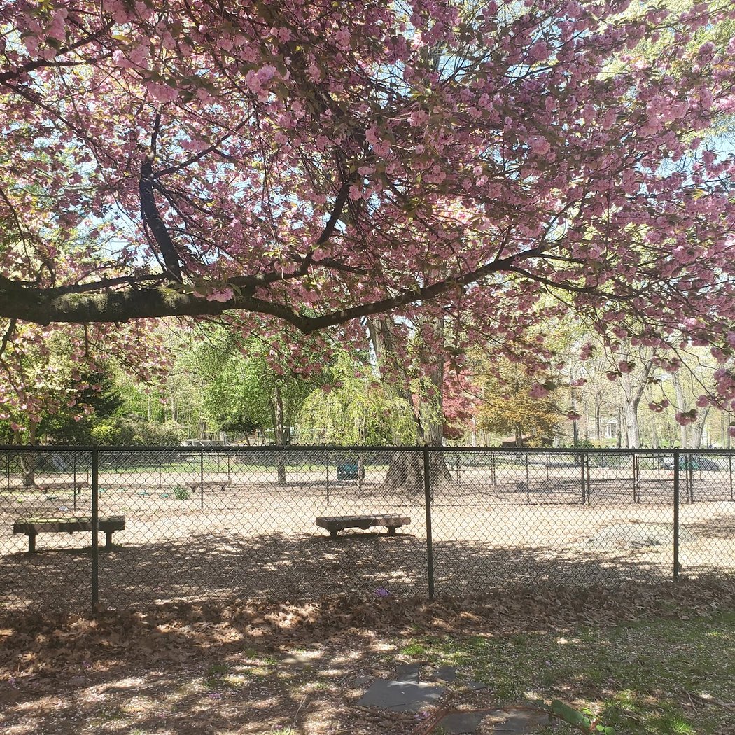 Clark Recreation Center 1