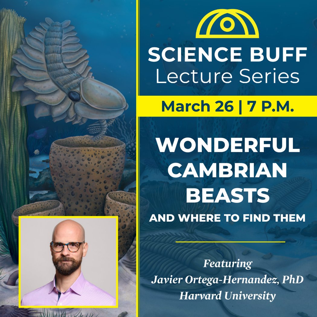 Buffalo Museum of Science 3