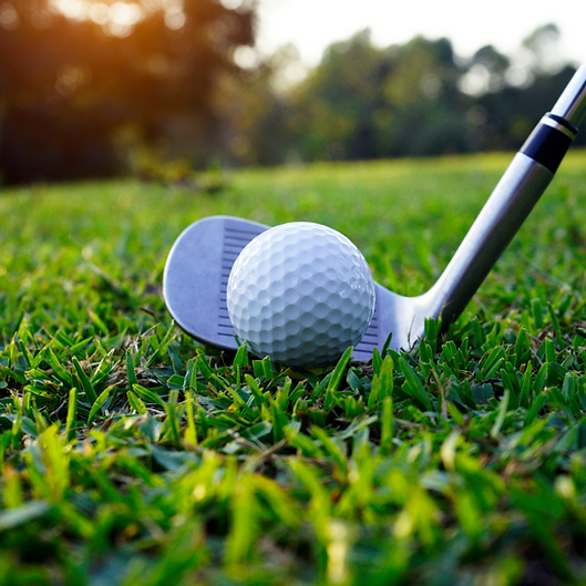Annual Golf Tournament 1