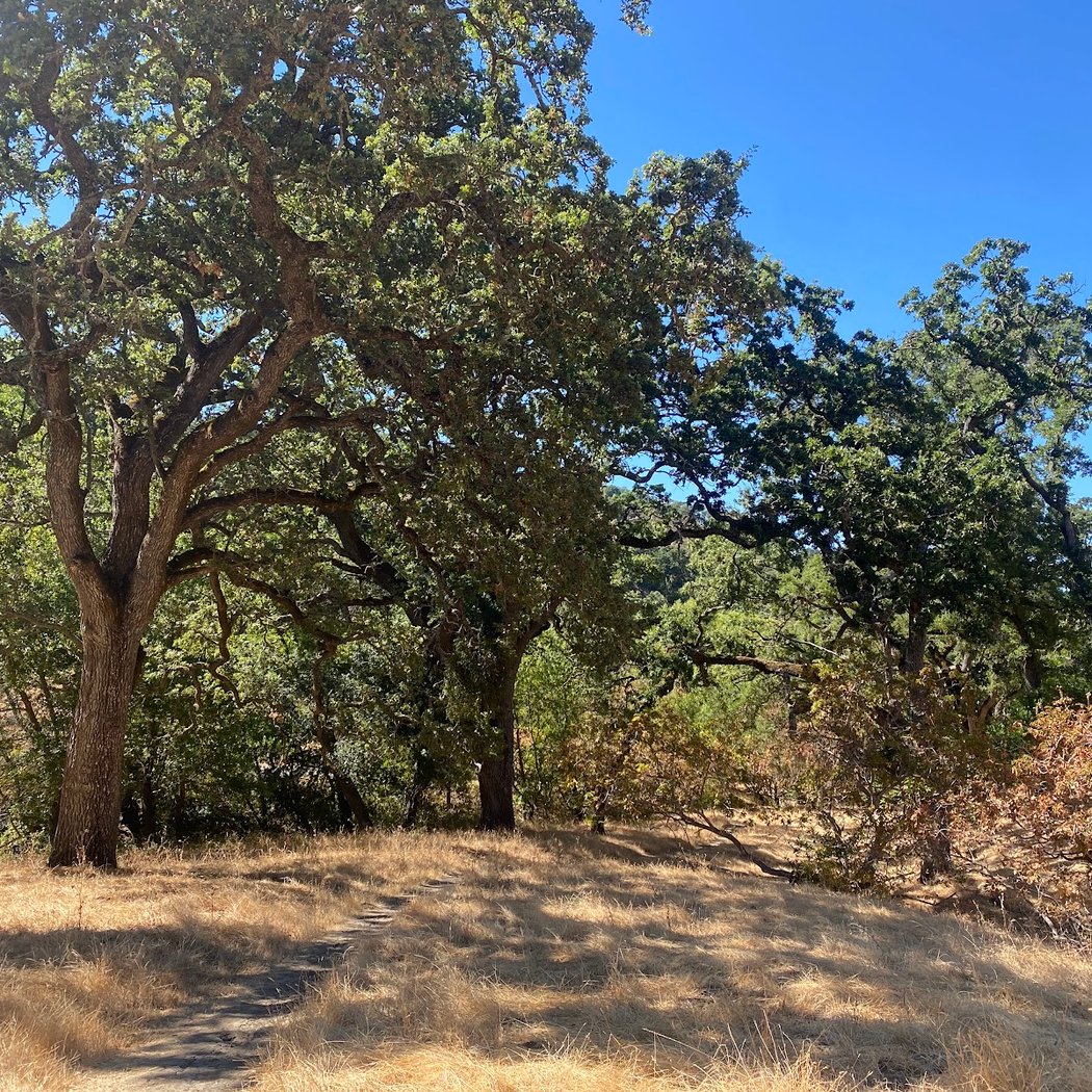 Bear Creek Run 3