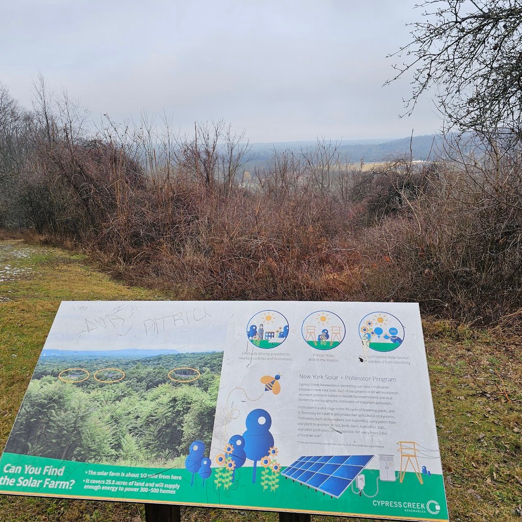 Peach Hill Park (Only Parking Area) 3