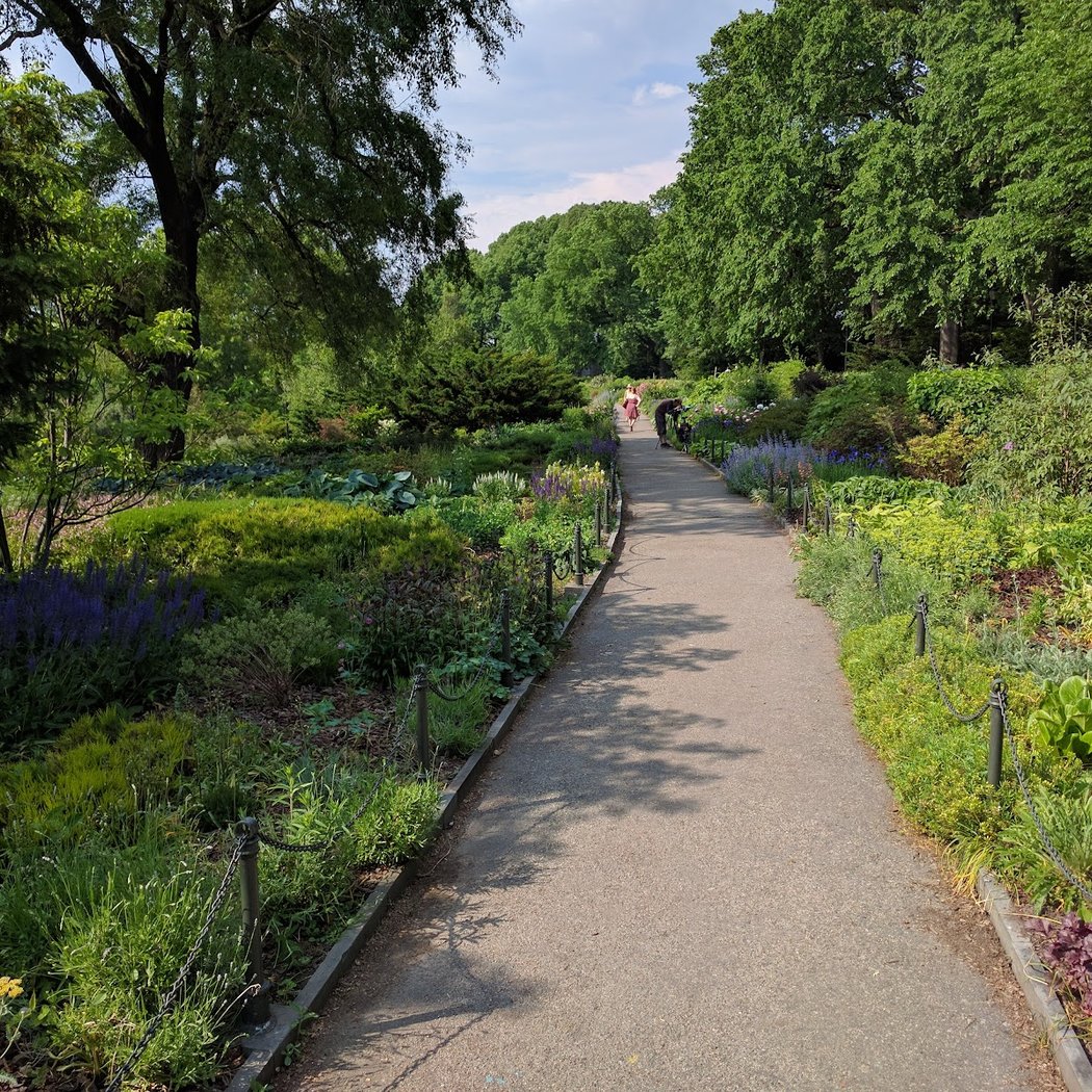 Billings Lawn 3