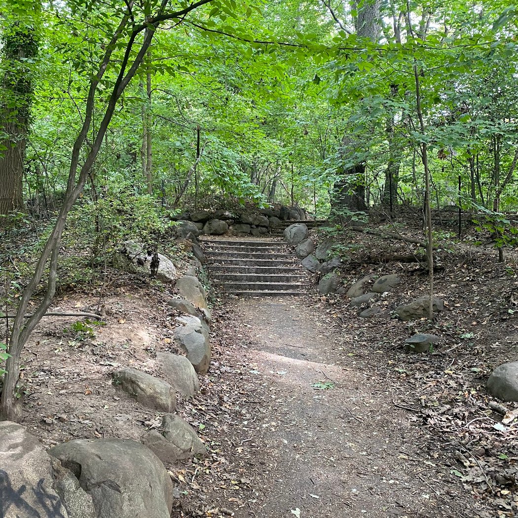 The Ravine 2
