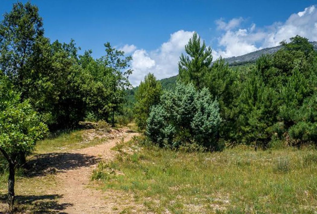 Parc Naturel Départemental de Roquevignon 1
