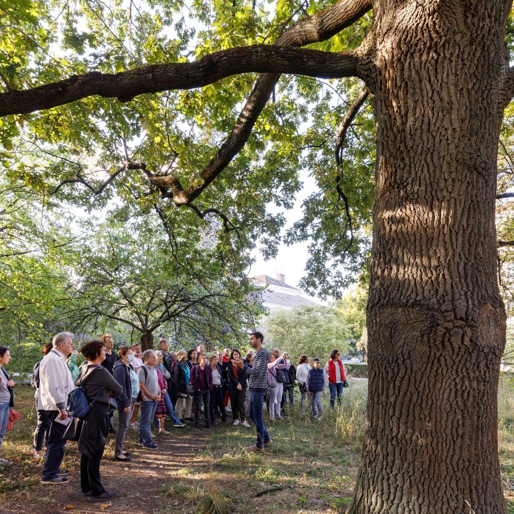 Visite guidée découverte du parc de la Cité internationale 1