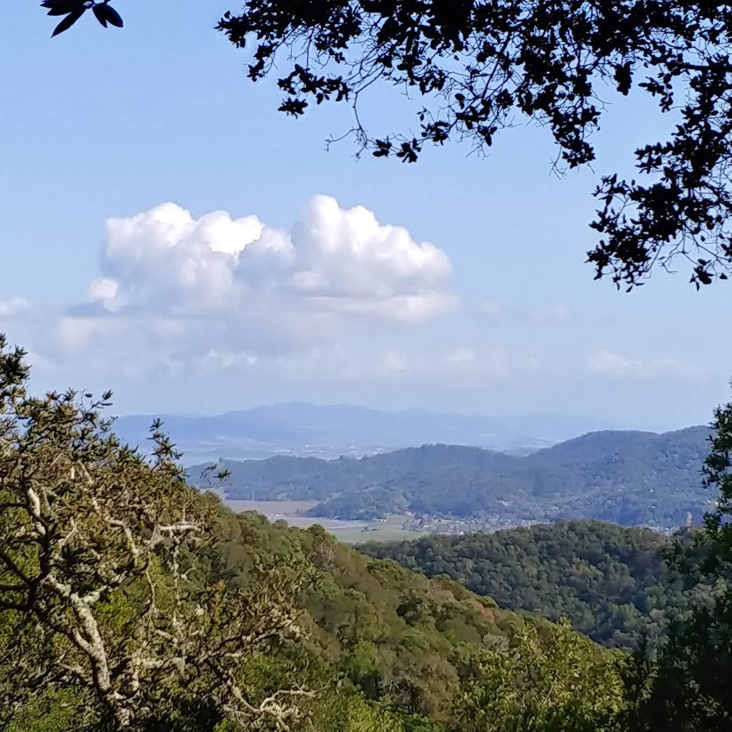 Horne Trail 2