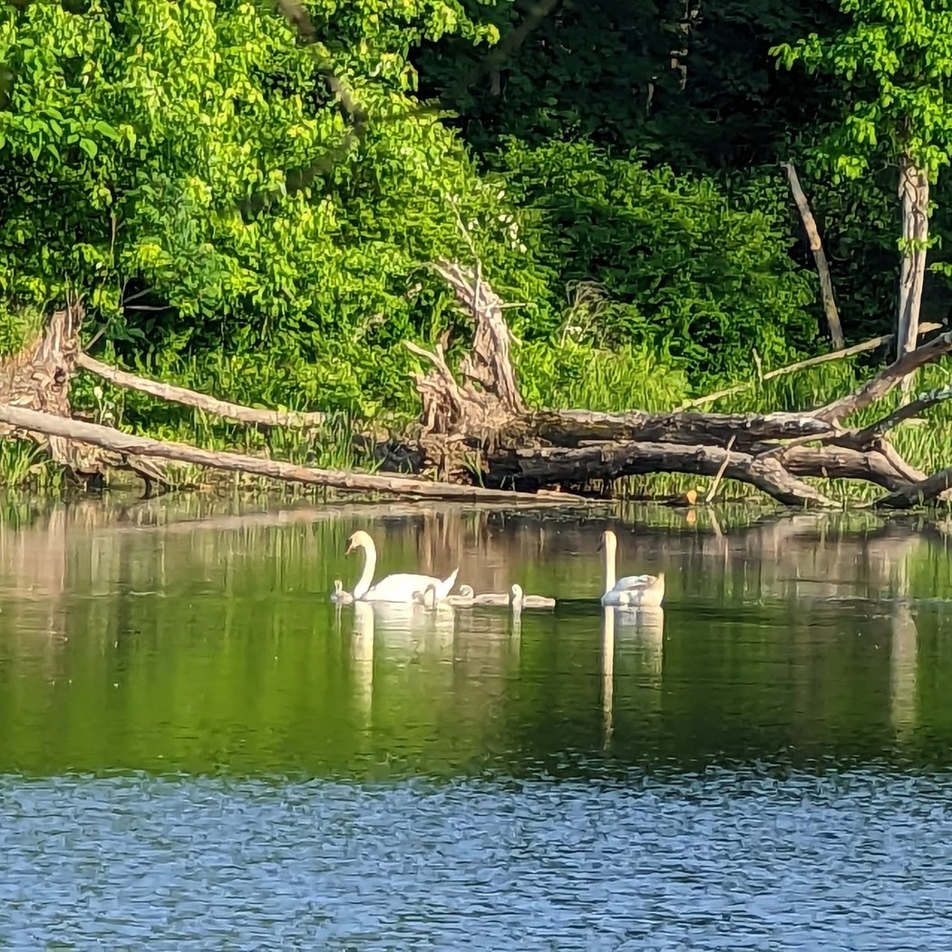 Saugerties Village Beach 1