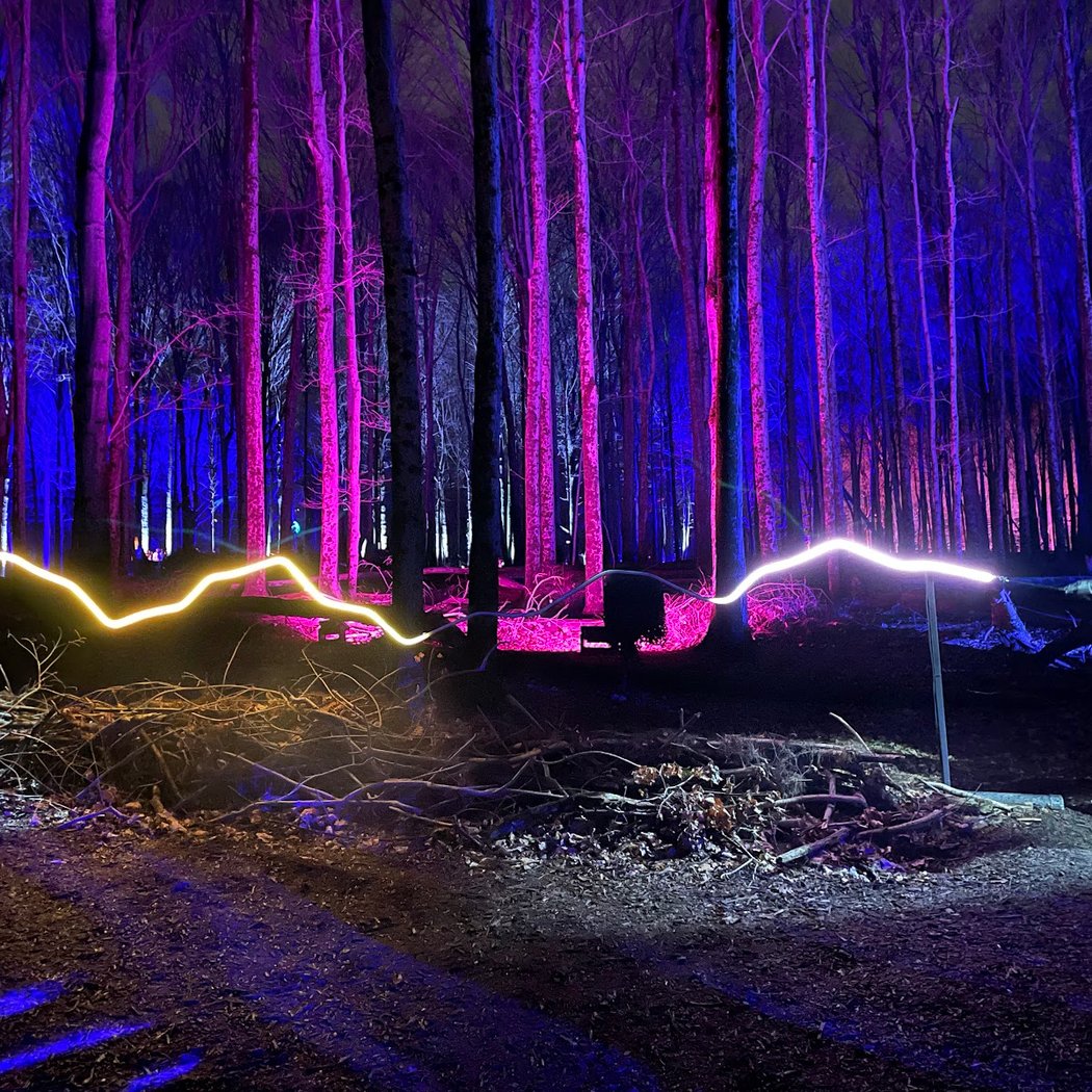 Harry Potter : A Forbidden Forest Experience 2