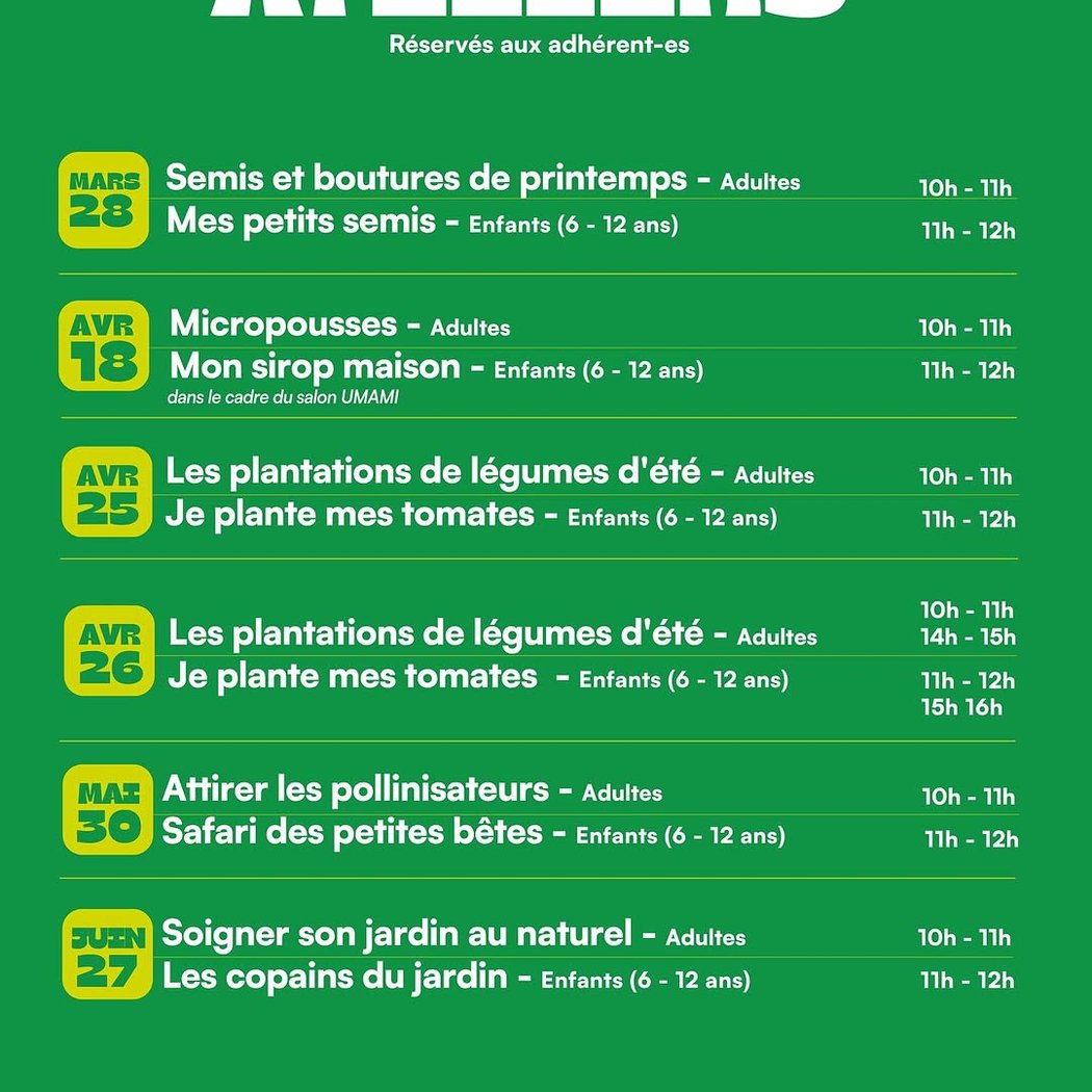 Semis et boutures de printemps 1