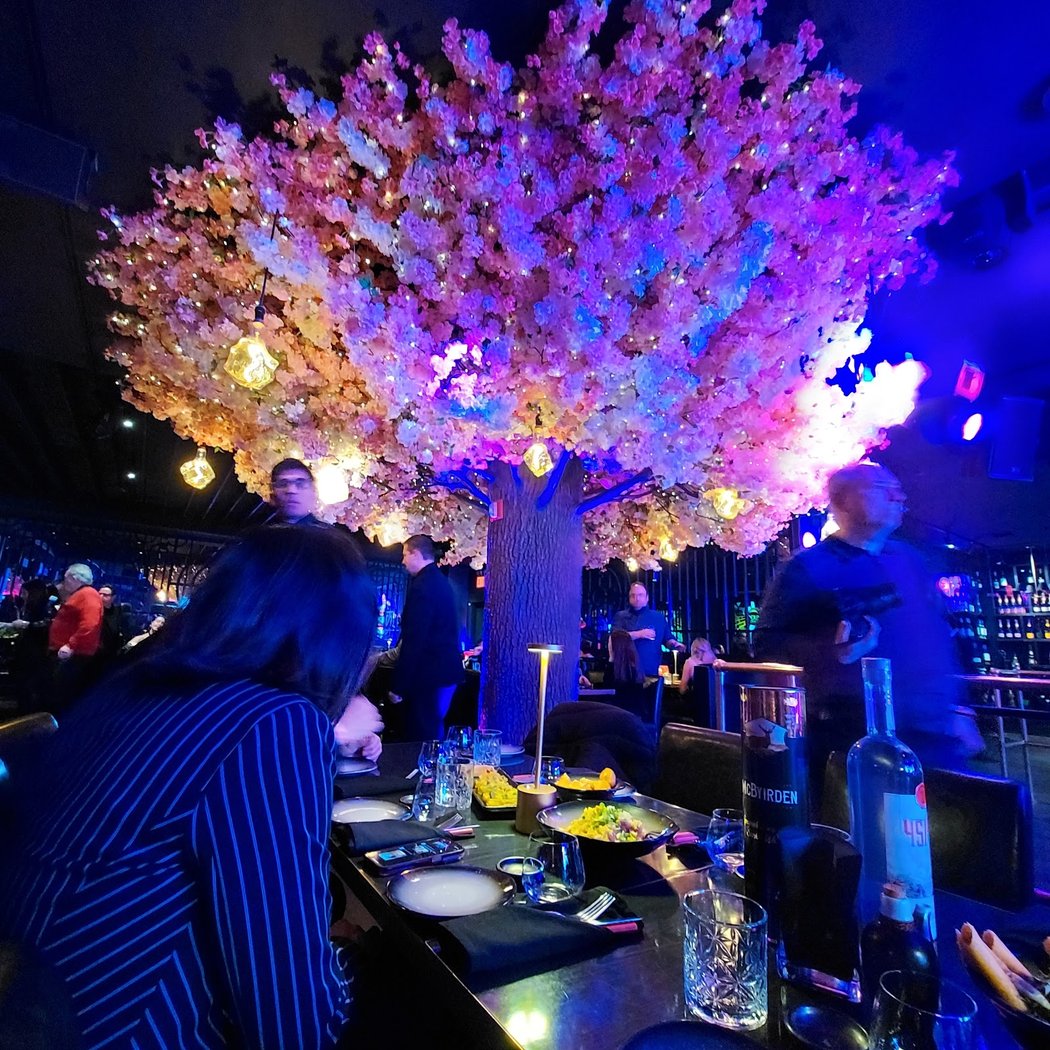 Sky Wise Lounge 3