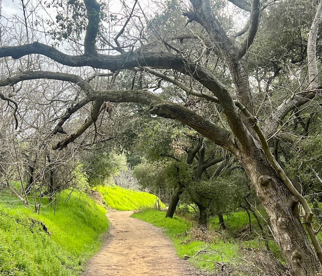 10,000 Steps Hike 1
