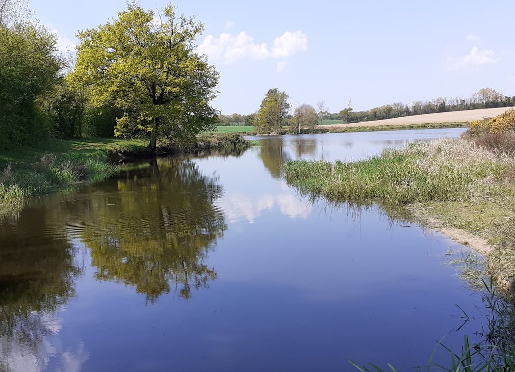 Étang de la Beusse 1