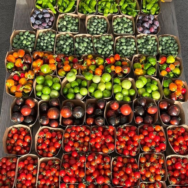 Deep Roots Farm CA 1