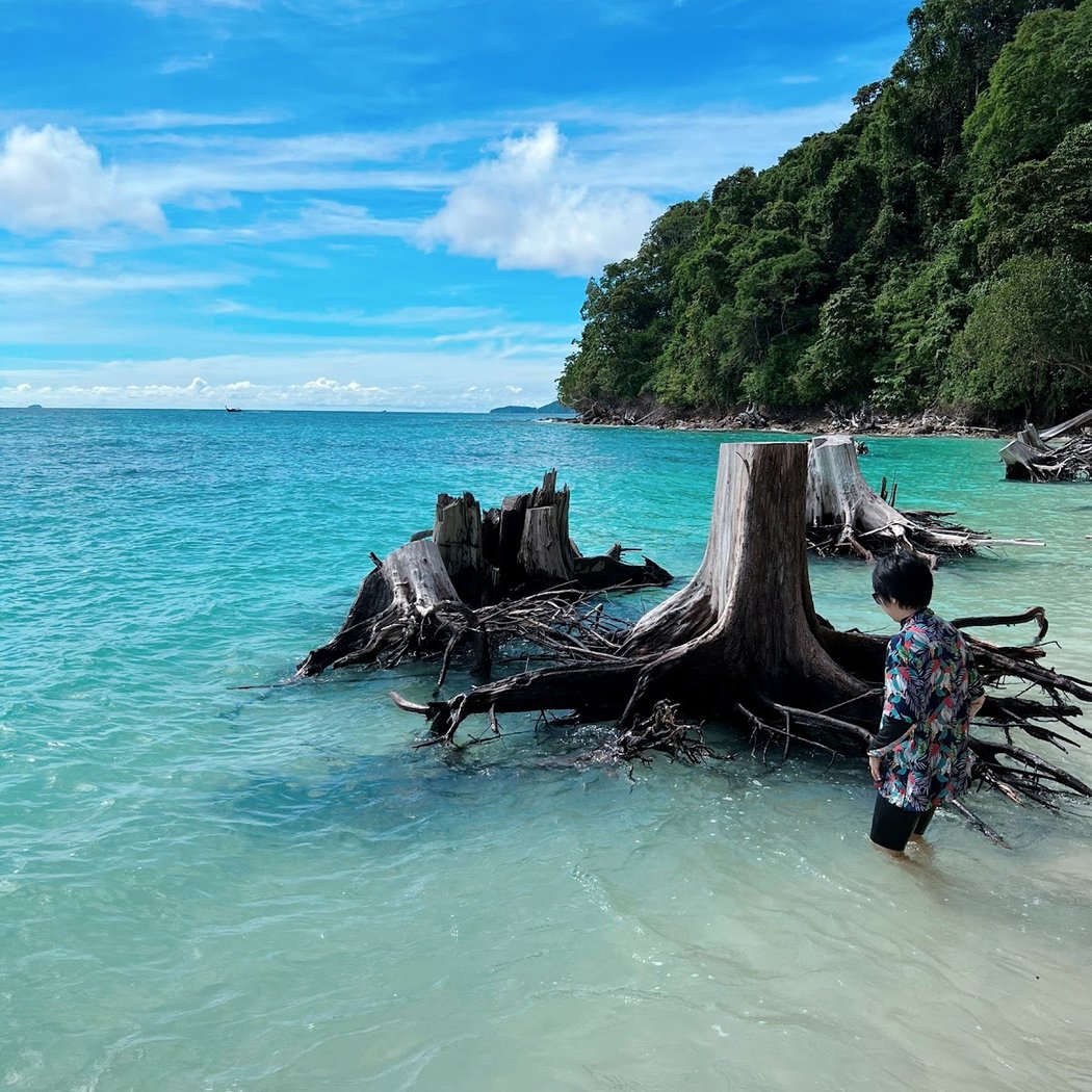 Koh Phi Phi Tour Pier 1