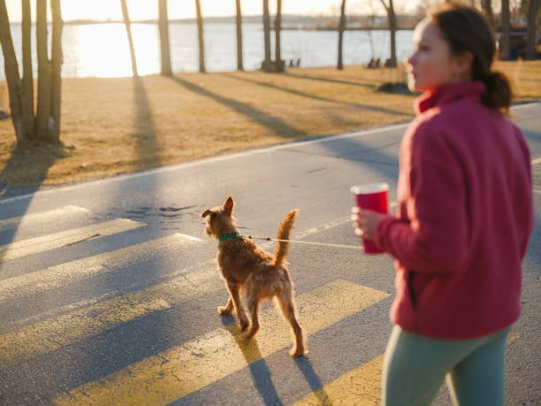 Make a Friend: Coffee & Dogs 1