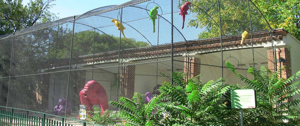 Zoological Gardens 4