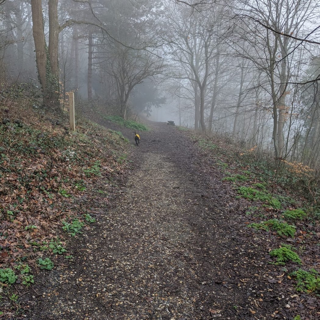 Le sentier des vallons 2