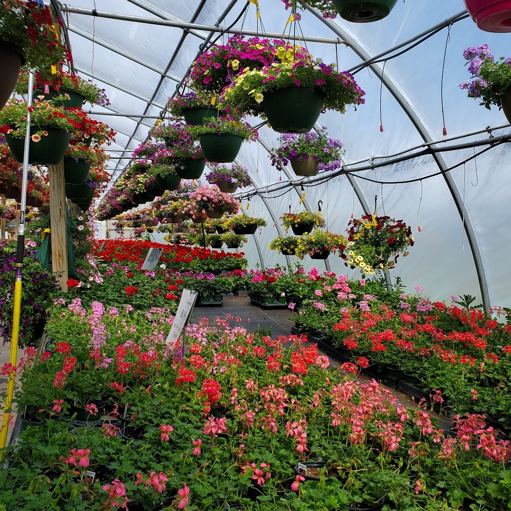 Alexander Farm Market & Greenhouses 3