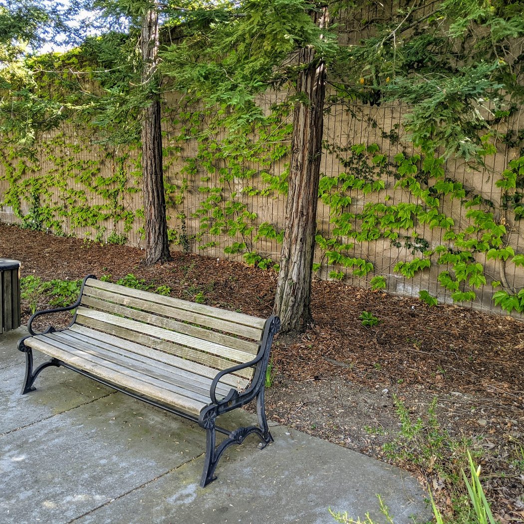 Bellgrove Park 3