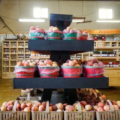 B.J. Reece Orchards 1