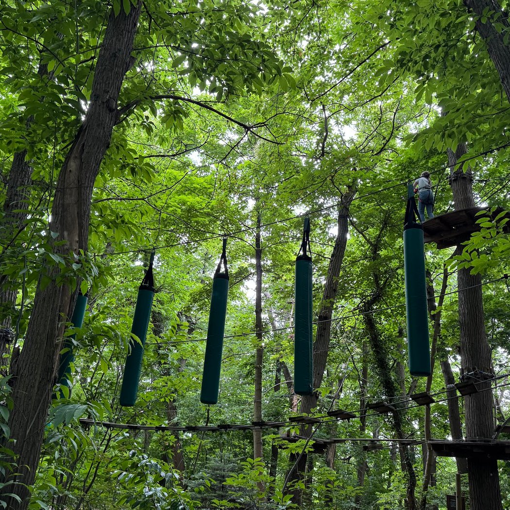 Parc accrobranche Montéclin 3