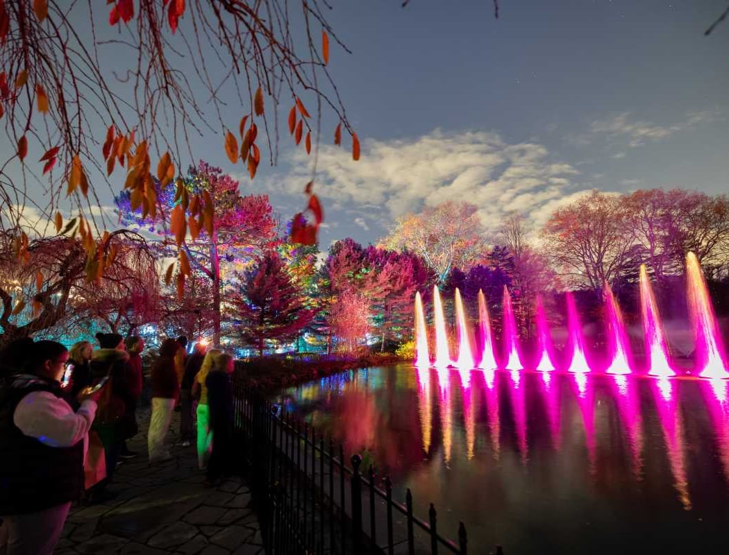 5th Annual Lightscape Show 3