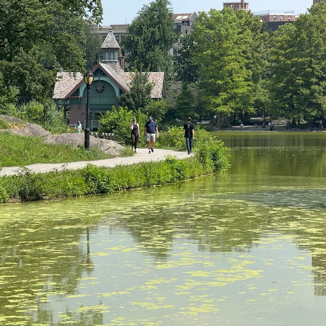 Harlem Meer Performance Festival 3