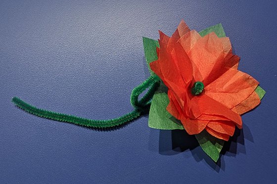 Las Posadas Poinsettias 1