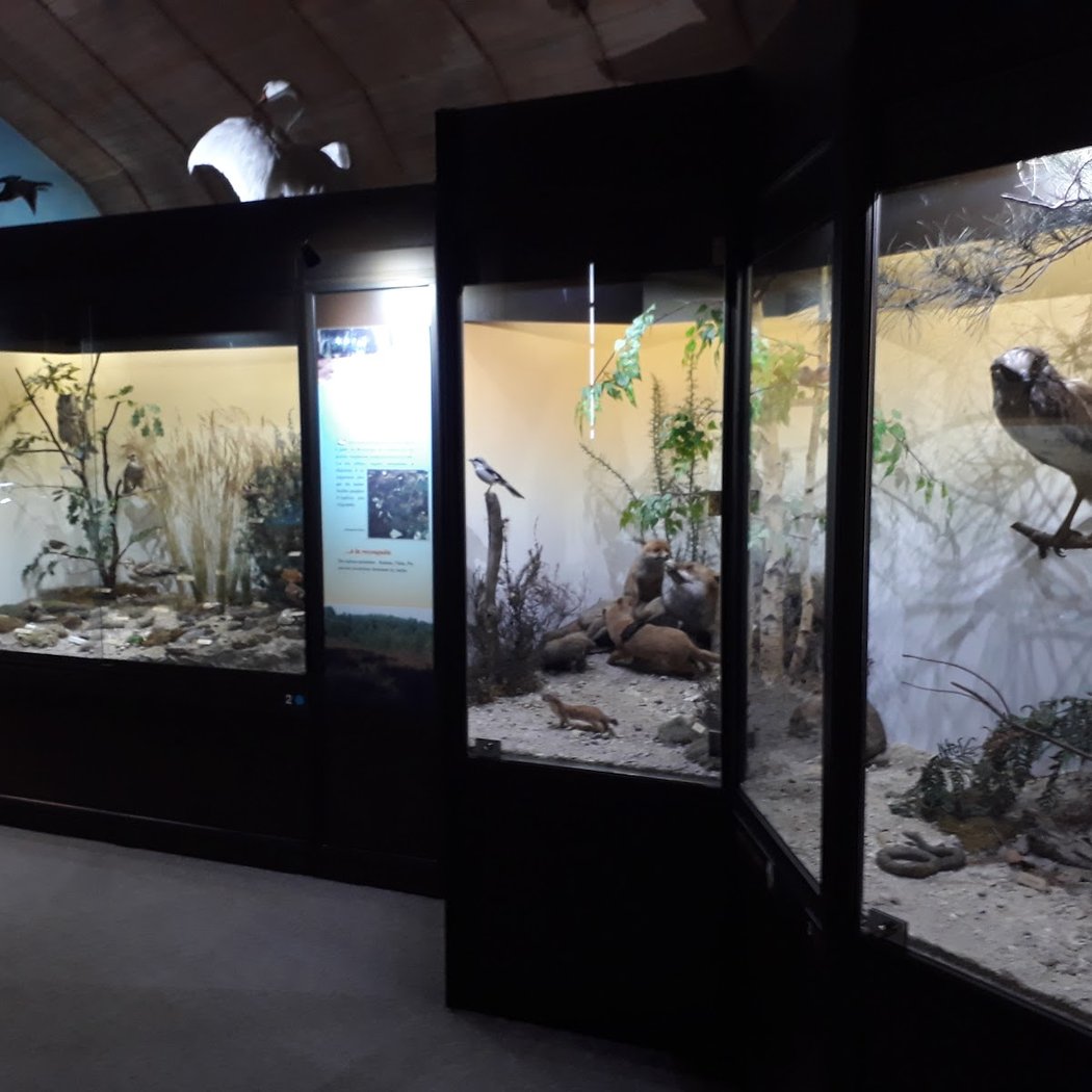 Natural History Museum 3