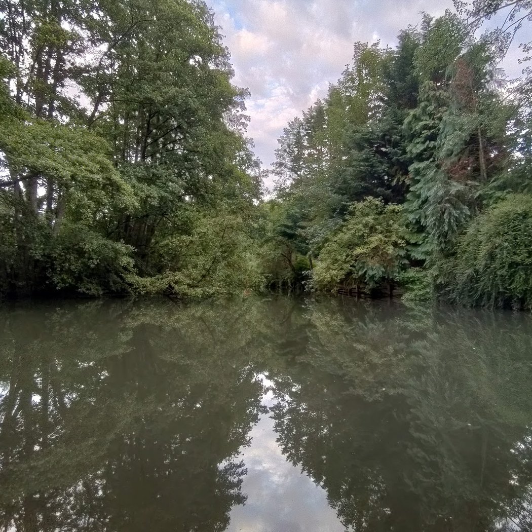 aquatique de Broglie Garden 2