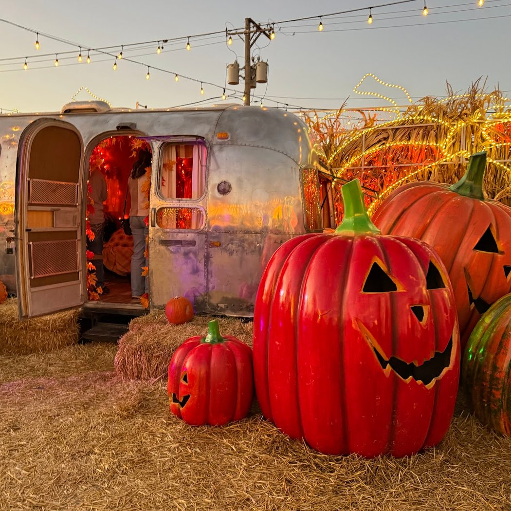 Jack's Pumpkin Pop-Up 4