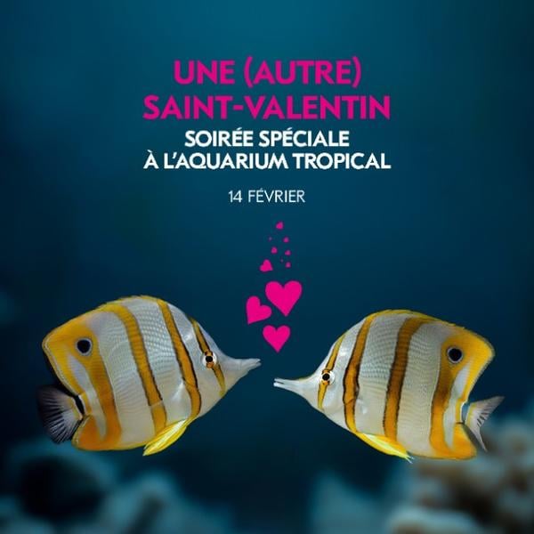 UNE AUTRE SAINT-VALENTIN 1