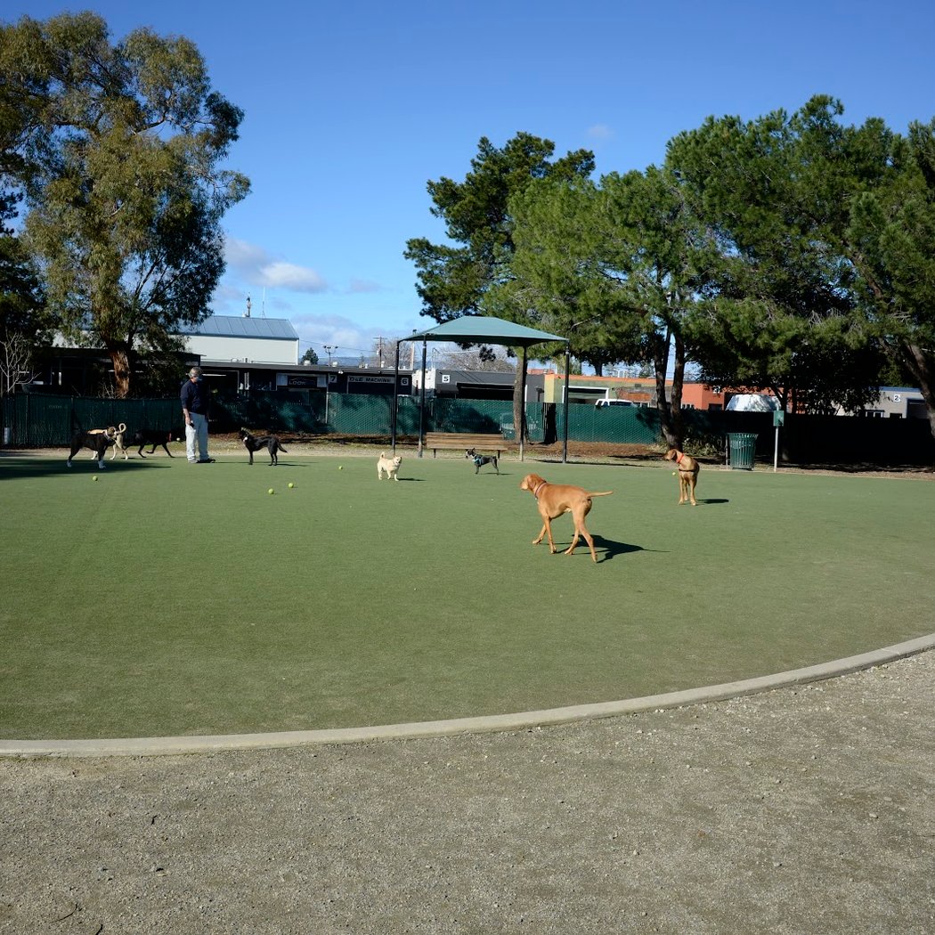 Dog Park | Los Gatos Creek 2