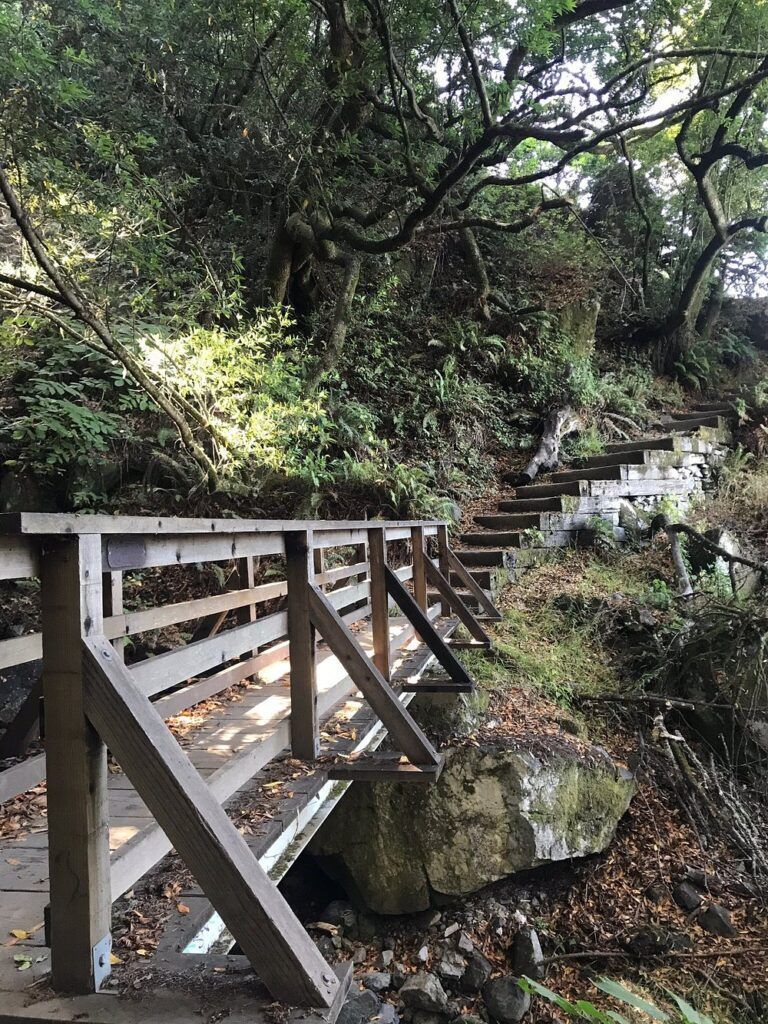 Dipsea Trail Head 2
