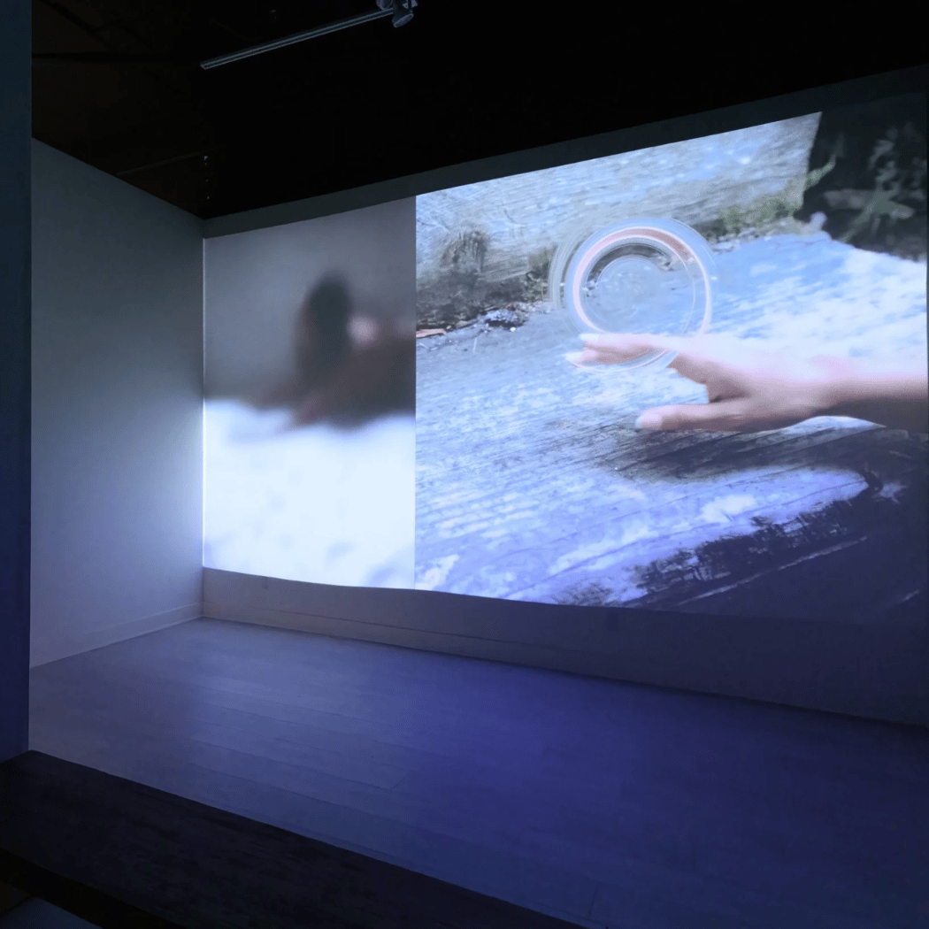 Billie Ocean: Domestic Duo - Film Screening 1