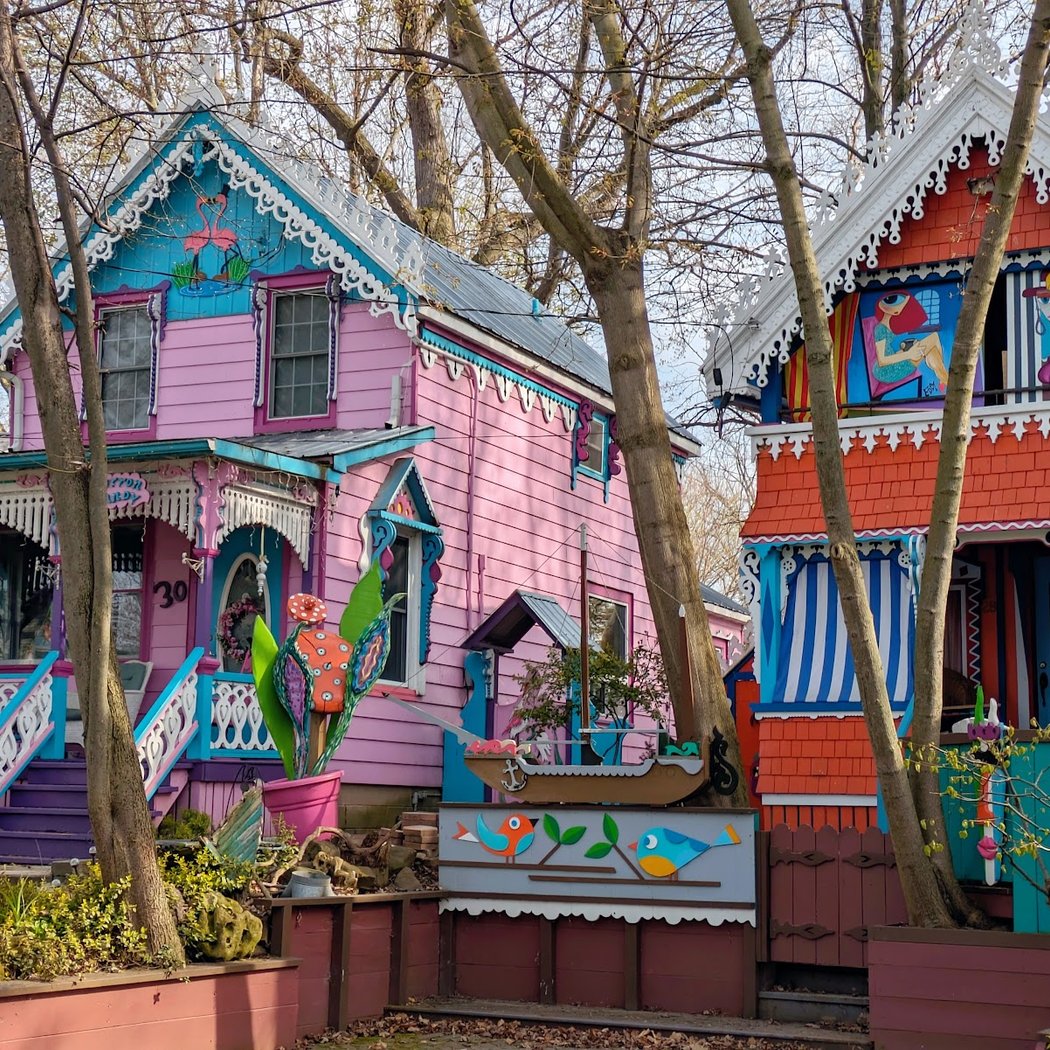 The Painted Ladies of Grimsby 3