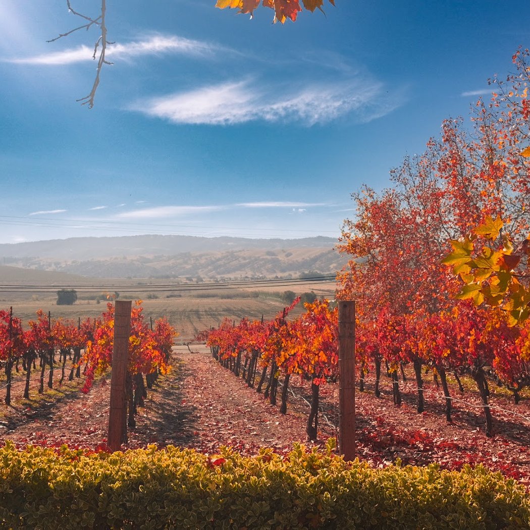 Rios-Lovell Winery 2