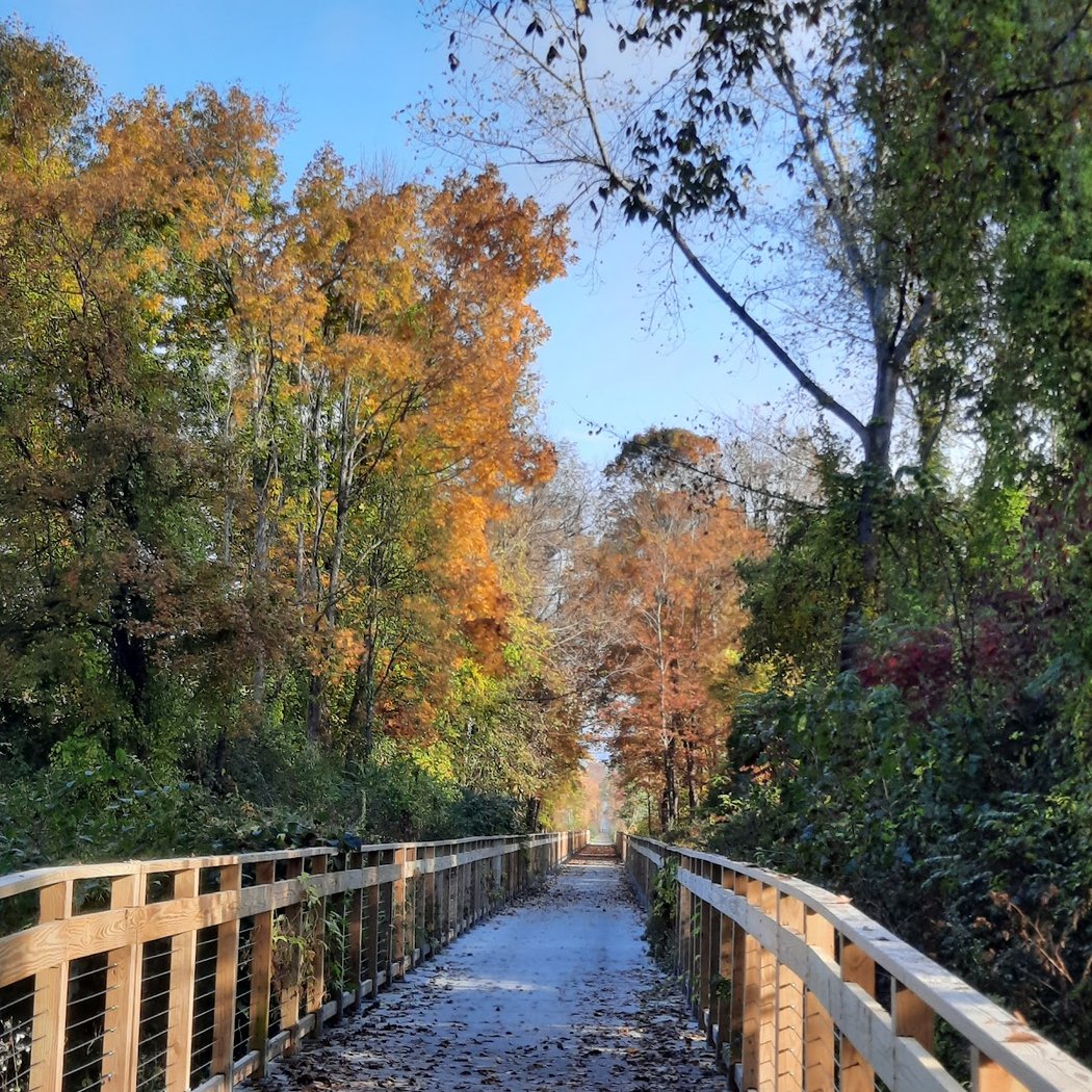 Harlem Valley Rail Trail 3